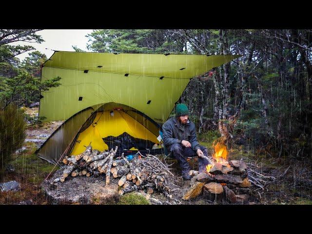 Camping in the Rain - Campfire - Hardwood and Bird