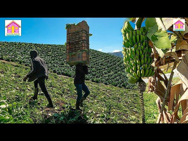 LA VIDA DEL CAMPO EN EL RIO DE CONSTANZA