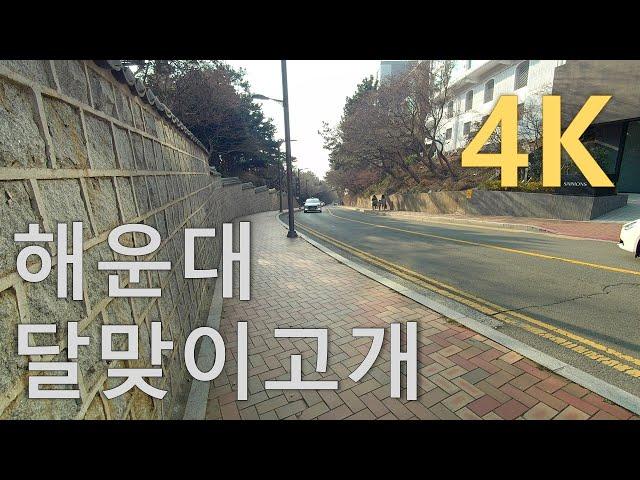 [Walking in Busan] I walked the Haeundae Dalmaji Pass called Beverly Hills in Korea.