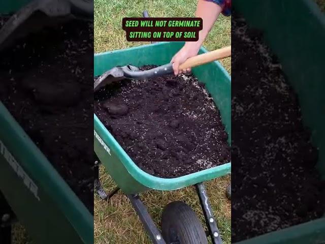 Spread Grass Seed & Soil Fast | #shorts #soil #maintenance #lawn #tips