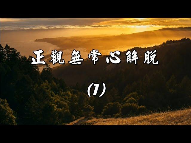 雜阿含1經(1版)5-1.傾萬鈞之力一點突破[德藏法師](有字幕)