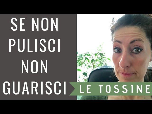 TOSSINE - se non pulisci, non guarisci - conosci, previeni e cura