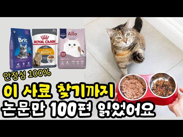 고양이 사료 성분과 원료 비교! 제약회사 10년차 집사가 논문 100편 읽고 찾아낸 안전성 100% 사료를 공개합니다