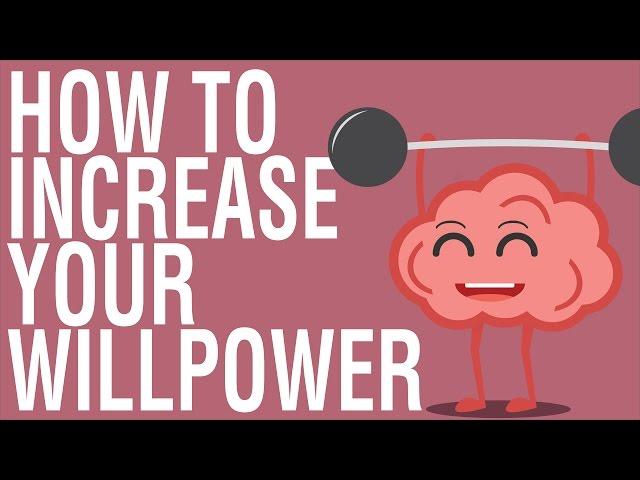 HOW TO INCREASE WILLPOWER - THE WILLPOWER INSTINCT BY KELLY MCGONIGAL ANIMATED BOOK REVIEW