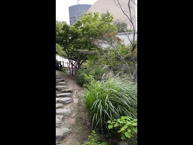 Nagaland Guy at Kokura castle garden,Kitakyushu,Japan.