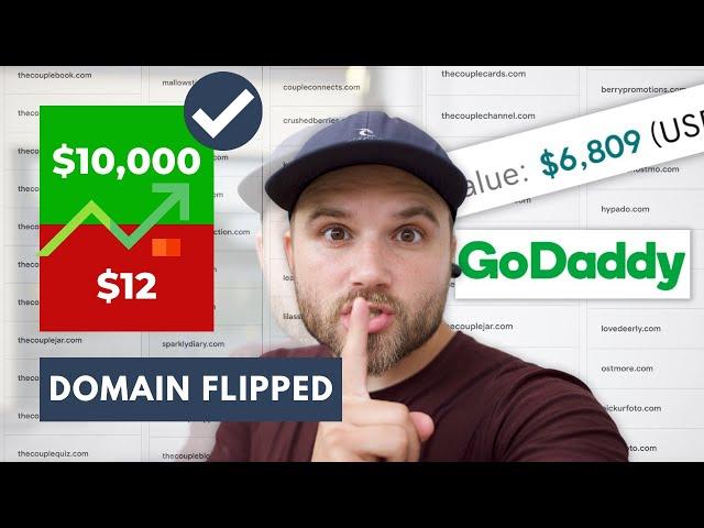 Flipping Domains in 2024 and the thing NO-ONE Talks About; turning $12 into $10,000