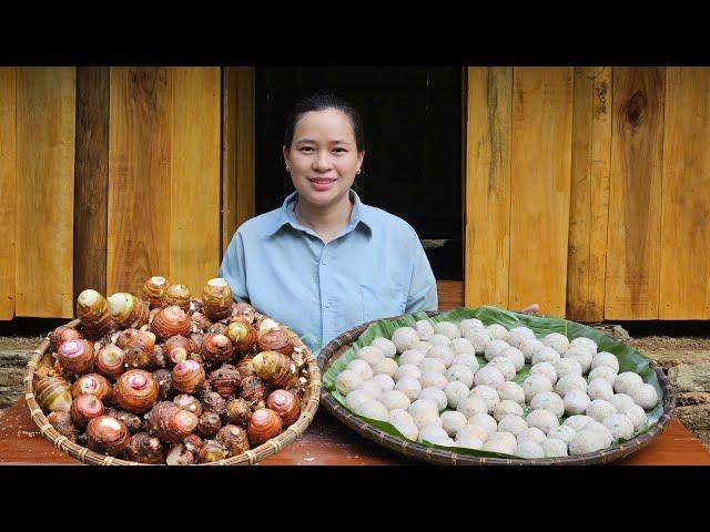 Harvest Taro To Make Cakes - Delicious Meal With Workers - Ly Thi Ca