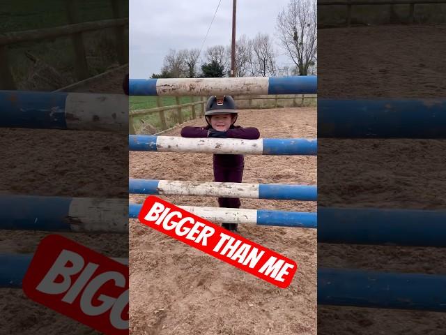 I jumped bigger than me… #horse #equestrian #horseriding #showjumping #stallion #horselover