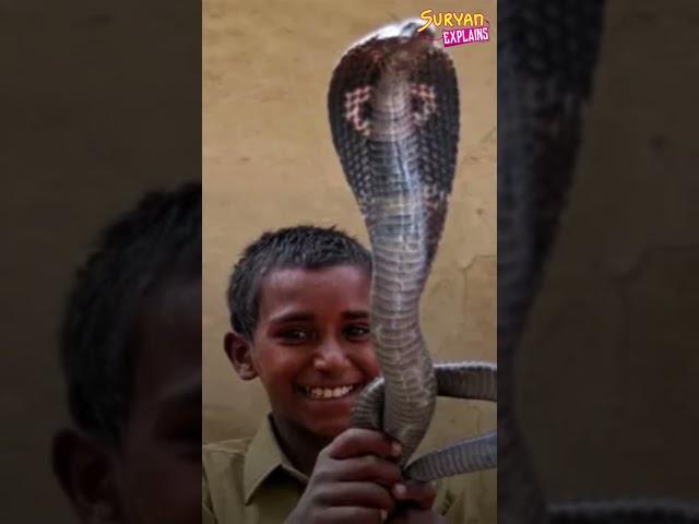 யாருக்கும் தெரியாத உண்மைகள் | Tamil Facts | Interesting facts in tamil  | Suryan Explains #shorts