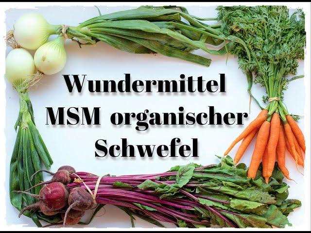 Wundermittel MSM organischer Schwefel - DAS passiert, wenn du MSM organischen Schwefel einnimmst!