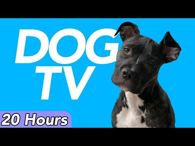 Dog TV - Virtual Adventure Experience for Dogs to Watch - Petflix (20 Hours)