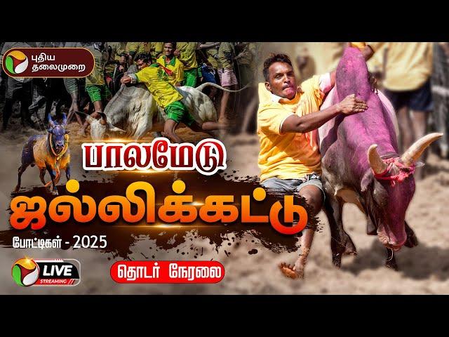 LIVE:  Palamedu Jallikattu | பாலமேடு ஜல்லிக்கட்டு Live | Palamedu Jallikattu 2025 | VaadiVaasal