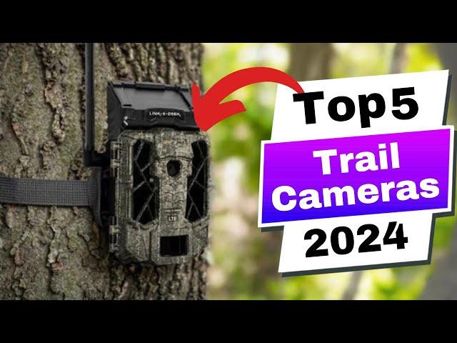 BEST Trail Cameras 2024: for Wildlife Photography Day or Night!