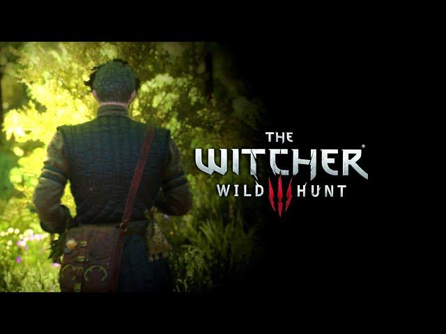 The Witcher 3: Wild Hunt 'Splendor in the Grass' [HD]