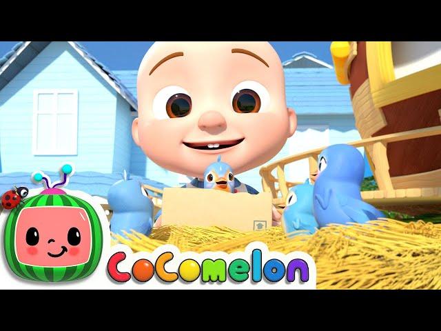 Itsy Bitsy Spider (Birdie Edition) | CoComelon Nursery Rhymes & Kids Songs