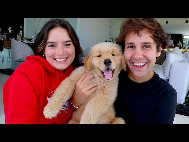 SURPRISING BEST FRIEND WITH PUPPY!! (FREAKOUT)