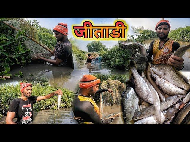 उतरण्याची जितारी | आज असूला भेटली जितारी, करपाली, चिंबोऱ्या | Barramundi | Tiger Prawns