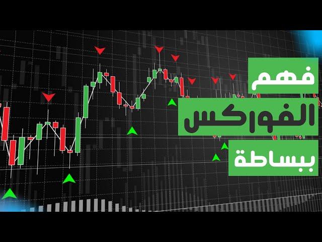 تعلم الفوركس من الصفر | تعليم Forex للمبتدئين