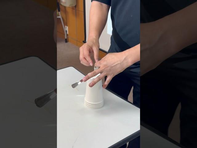 Center of Mass (tooth pick and forks)