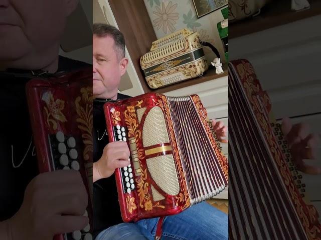 Гармонь Traviata - шедевр! Ми мажор.
