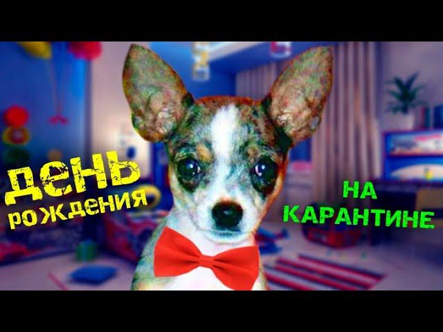 МОЕ ДЕТСТВО ГЛАЗАМИ СОБАКИ И КОШКИ! ДЕНЬ РОЖДЕНИЯ НА КАРАНТИНЕ