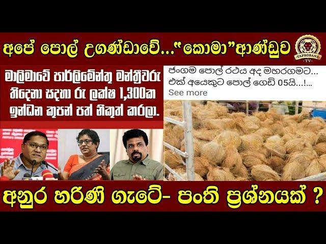 අපේ පොල් උගණ්ඩාවේ... "කොමා" ආණ්ඩුව|අනුර හරිණි ගැටේ- පංති ප්‍රශ්නයක් ? | BUKIYE WISTHARE |TAPROBANETV