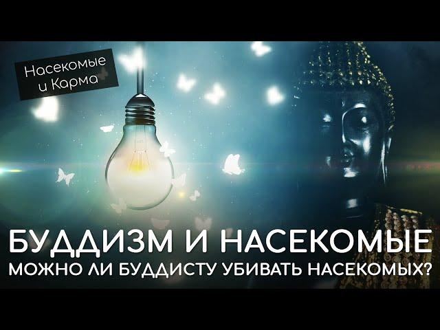 Буддизм и насекомые. Можно ли буддисту убивать насекомых? Насекомые и Карма. Не причинение вреда