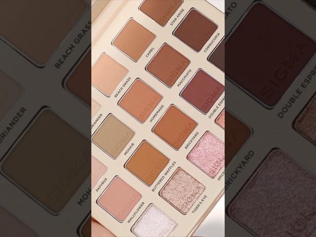 Soft Glam Using Sigma Spectrum  #MakeupShorts