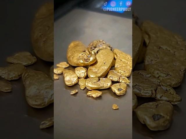 Diver Finds $1500 Of Gold Nuggets In Bedrock Crack!