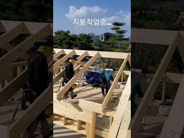 목조주택 지붕(레프터)작업 #목조주택 #frame #단독주택 #바른목조주택