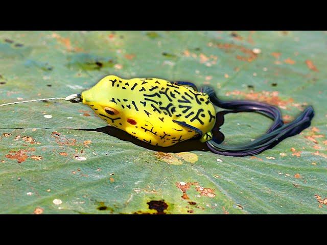 Froggin' TRICKS That Catch BIG BASS