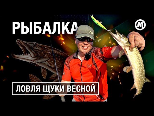 КАК поймать свою ЩУКУ? ТОП 3 приманки от Алексея Шанина!