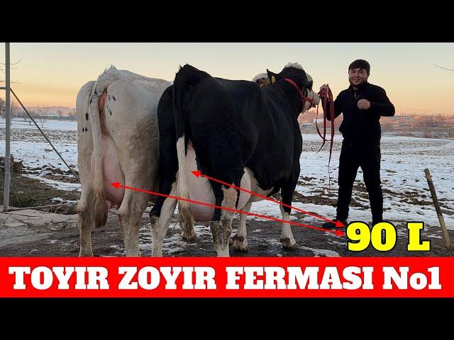 TOYIR ZOYIR FERMASI No1 GIGANT 90 LITRGA SIGIRLA SOTILADI JUPIGA MASHAOLLOH