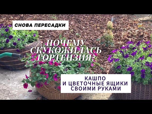 Маленькая клумба из многолетников. Кашпо и садовые ящики своими руками.