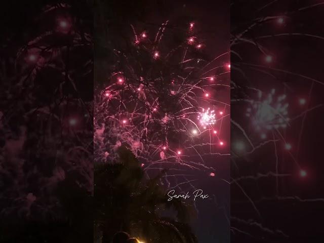 New Year 2025 Fireworks Newcastle #newyear #newyear2025 #fireworks #sarahpax #newcastle #australia