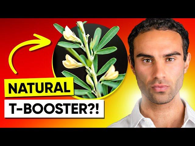 New TONGKAT ALI!? (Testosterone Booster You Haven't Heard Of)