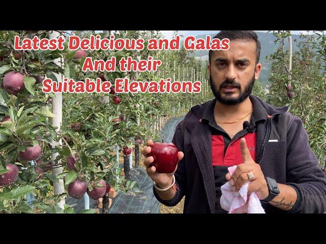 Latest Delicious and Gala Apple varieties and their suitable elevation.