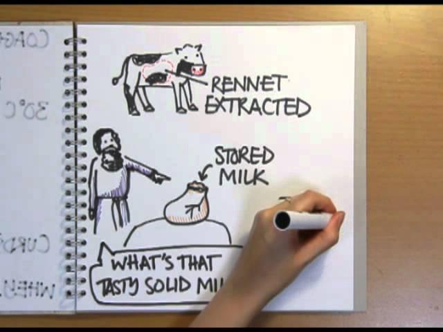 How is cheese made? - Naked Science Scrapbook