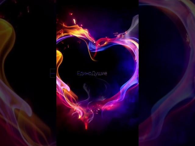Рамана Махарши - Тишина и Сатсанг 🪷   #любовь #душа #love #медитация #раманамахарши