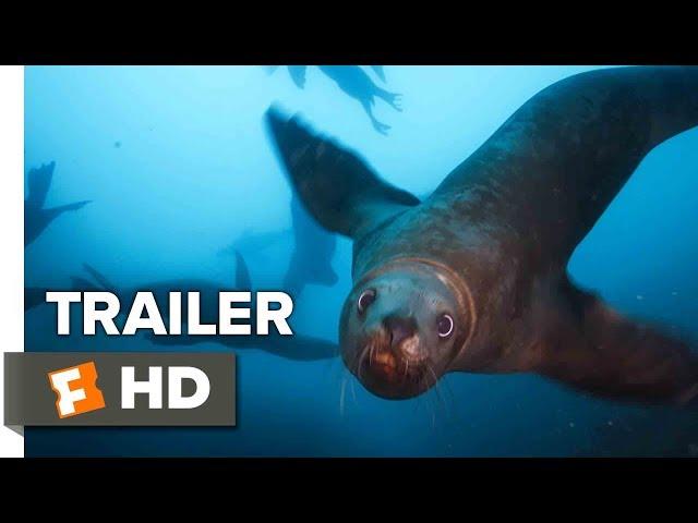 Blue Planet II Trailer #2 - BBC (2017) | Movieclips Trailers