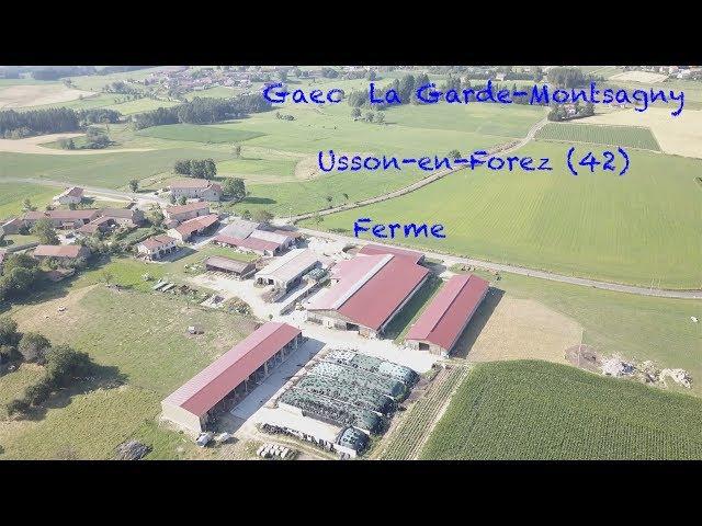 Gaec  La garde Montsagny  Usson-en-Forez (42)  Ferme robotisée.