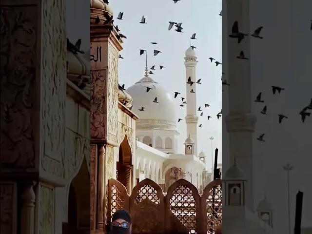 Duniya ka sabse khubsurat majhab Islam#Islam zindabad#trending short#short viral#viral#great#Allah#