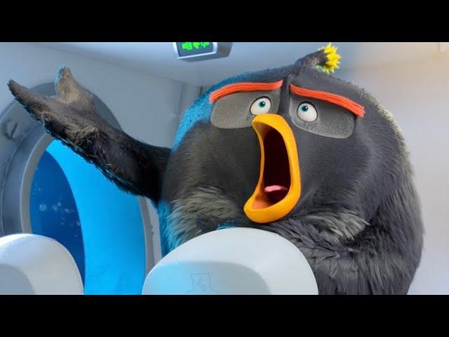 THE ANGRY BIRDS MOVIE 2 BOMB BEST MOMENTS [HD] ANIMATION MOVIE