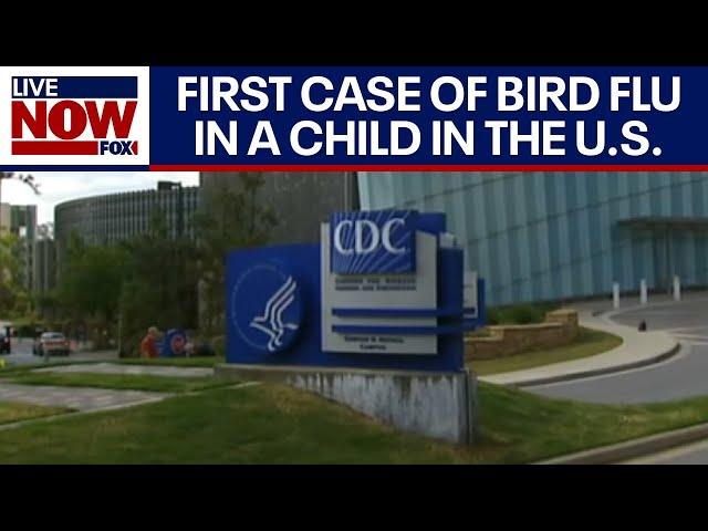 First bird flu case in a child in the US, CDC confirms | LiveNOW from FOX