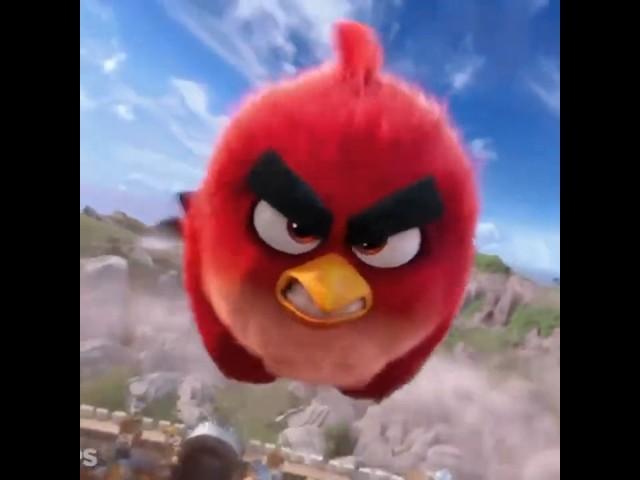 The Angry Birds Movie but with Classic Angry Birds SFX #angrybirds #angrybirds2 #theangrybirdsmovie