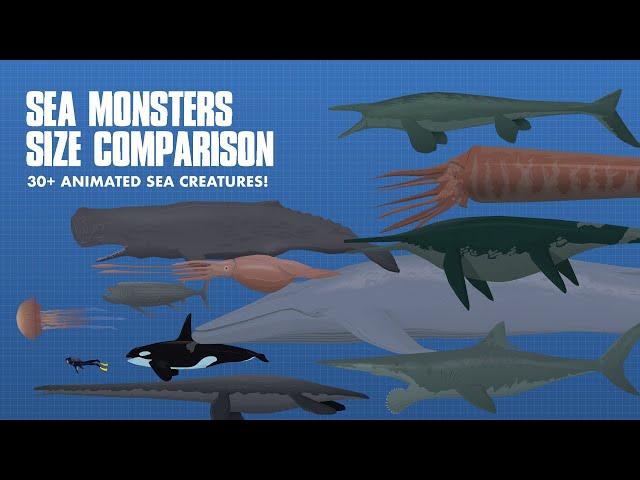 LARGEST SEA CREATURES | ANIMATED Size Comparison (Sea Monsters)