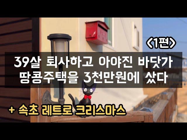 바닷가 땅콩주택 귀촌 ️ | 연말 | 라면 무제한 가성비 조개구이 | 뉴욕제과 백년가게 | 세렝게티 커피 | 하와이 조개 [강원도 고성 30대 귀촌부부]