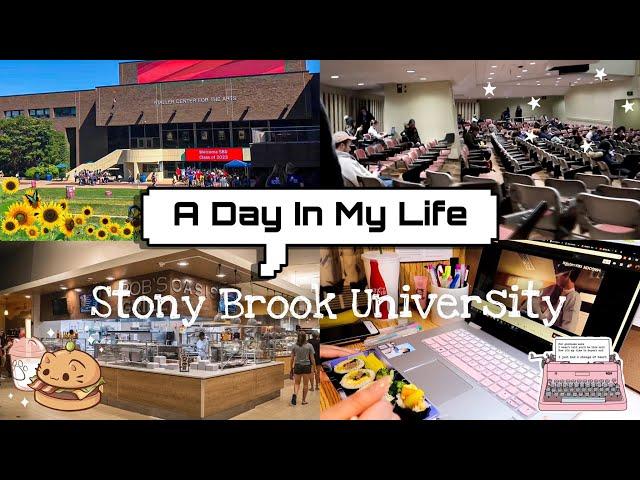 A Day in the Life of a College Student | Stony Brook University