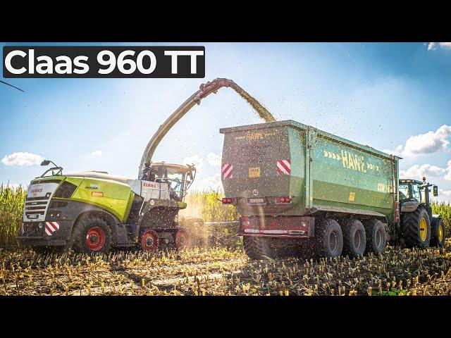 Maishäckseln bei @Landwirtinmv mit einem Claas Jaguar 960 TT || Mais XXL || 4K