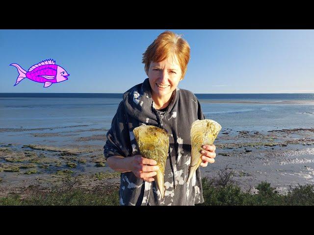 How to catch Razorfish Australia - Streaky Bay